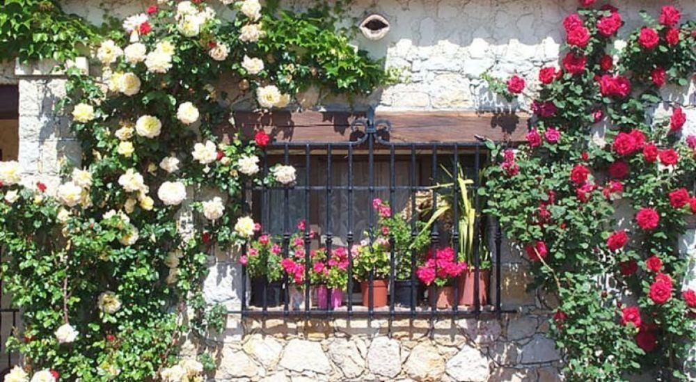Hotel Castel Garoupe à Antibes Extérieur photo